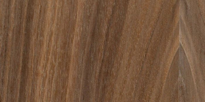 American Black Walnut A/B Veneered MR MDF 19mm